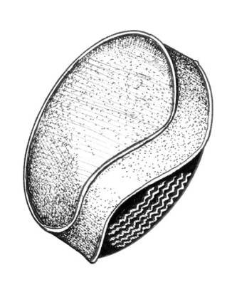 West Coast Metric - 165 X 15 SPARE TIRE COVER, BLACK VINYL, BUG / GHIA / TYPE 3