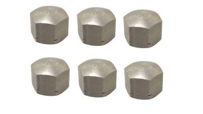 West Coast Metric - CAP NUTS, OIL STRAINER PLATE TO ENGINE, 6 PIECES, BUG 1946-79, BUS 50-79