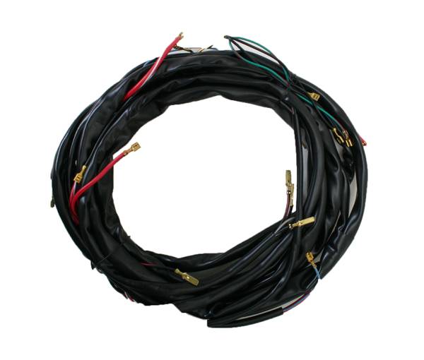 MAIN WIRING HARNESS, THING 73-74