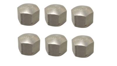 Engine - Oil Change/Related Parts - CAP NUTS, OIL STRAINER PLATE TO ENGINE, 6 PIECES, BUG 1946-79, BUS 50-79